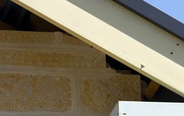 soffit repair Roche