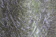 Roche fibreglass roof work